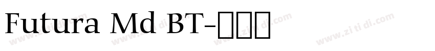 Futura Md BT字体转换